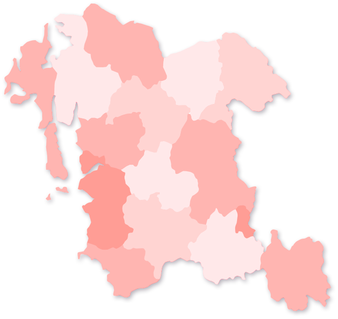 충남 지도