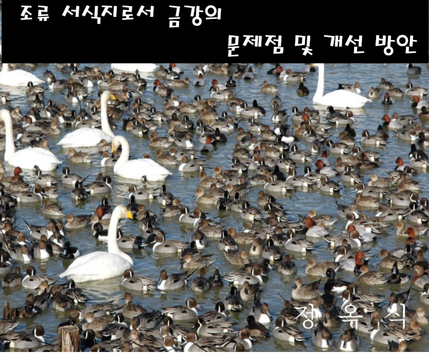 충남 생태관광 활성화를 위한 자원활용 방안 마련 세미나(CNI세미나2019-131)