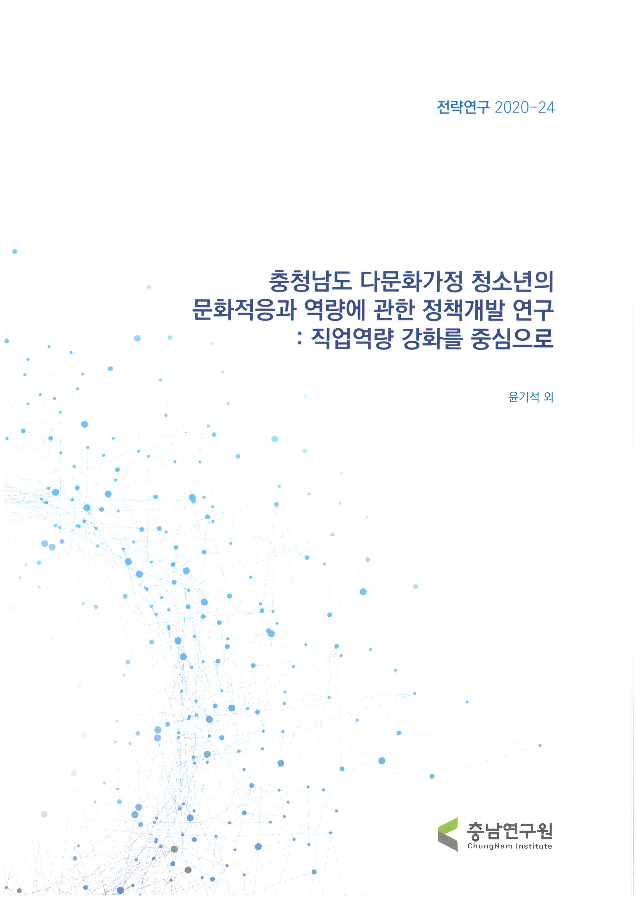 충청남도 다문화가정 청소년의 문화적응과 역량에 관한 정책개발 연구